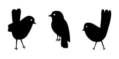 Sticker Cartoon style vector illustration of balck and white bird set template. Great design elements for sticker, card, print, poster, other design. Unique and fun drawing icon isolated on white background 