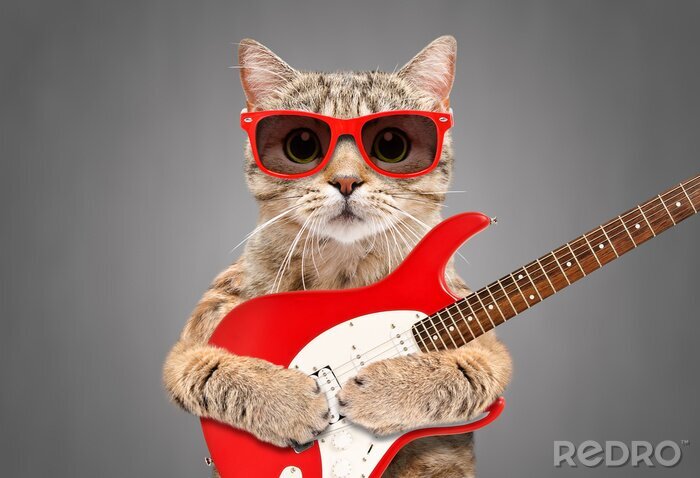 Sticker Cat Scottish Straight in sunglasses with electric guitar on gray background