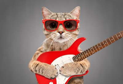 Sticker Cat Scottish Straight in sunglasses with electric guitar on gray background