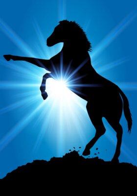 Sticker Cheval_Soleil_Rayons