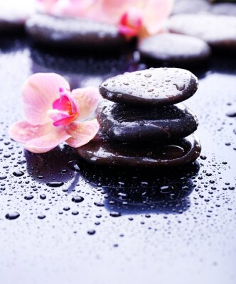 Sticker Compositie met mooie bloeiende orchidee met water druppels en