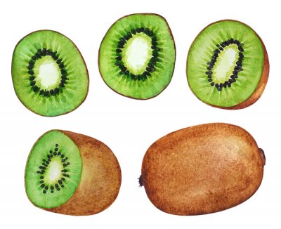 Sticker Coolection of watercolor kiwi fruits