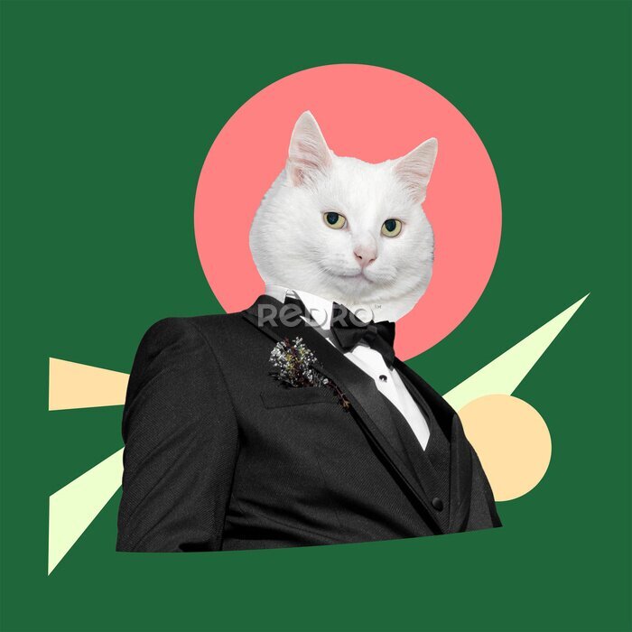 Sticker Costume and a black tie with a white cat head. Digital collage modern art.