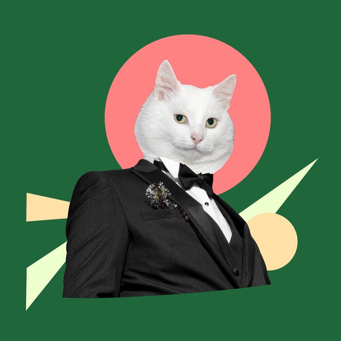 Sticker Costume and a black tie with a white cat head. Digital collage modern art.
