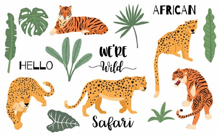 Sticker Cute animal object collection with leopard,tiger. illustration for icon,logo,sticker,printable.Include wording we are wild