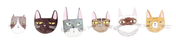 Sticker Cute cats collection on white background. Colorful graphic cats, poster design. Watercolor hand drawn illustration. Painted backdrop. Cloth pattern. Cat, kitten, head.