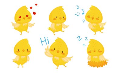 Sticker Cute Chicken Cartoon Chracters, Emotional Funny Bird in Different Situations Vector Illustration