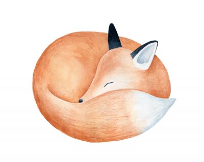 Sticker Cute fluffy sleeping fox character watercolor illustration. Symbol of cleverness, intelligence, charm, beauty, protection. Handdrawn water color graphic drawing, cutout element for design decoration.