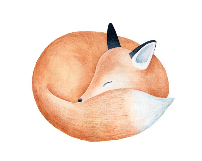 Sticker Cute fluffy sleeping fox character watercolor illustration. Symbol of cleverness, intelligence, charm, beauty, protection. Handdrawn water color graphic drawing, cutout element for design decoration.