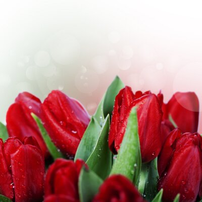 Sticker dauw op rode bloemen