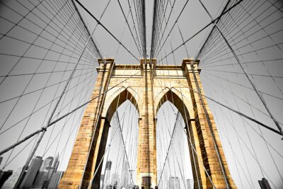De Brooklyn Bridge in New York