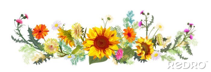 Sticker Decoratie met zonnebloemen en wilde bloemen