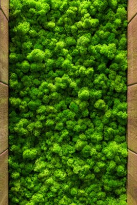 Sticker Decoratief groen mos