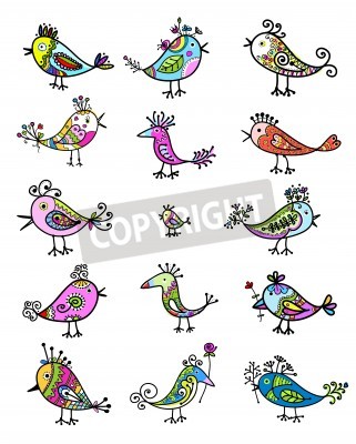 Sticker Decoratieve afbeeldingen van regenboogvogels in verschillende vormen