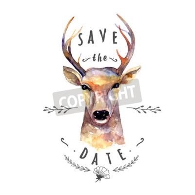 Sticker Deer aquarel