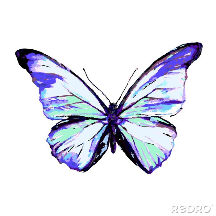 Sticker Delicate blauwe vlinder