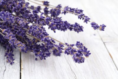 Delicate lavendel op planken