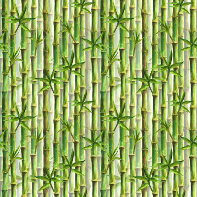 Sticker Dicht beplante bamboe