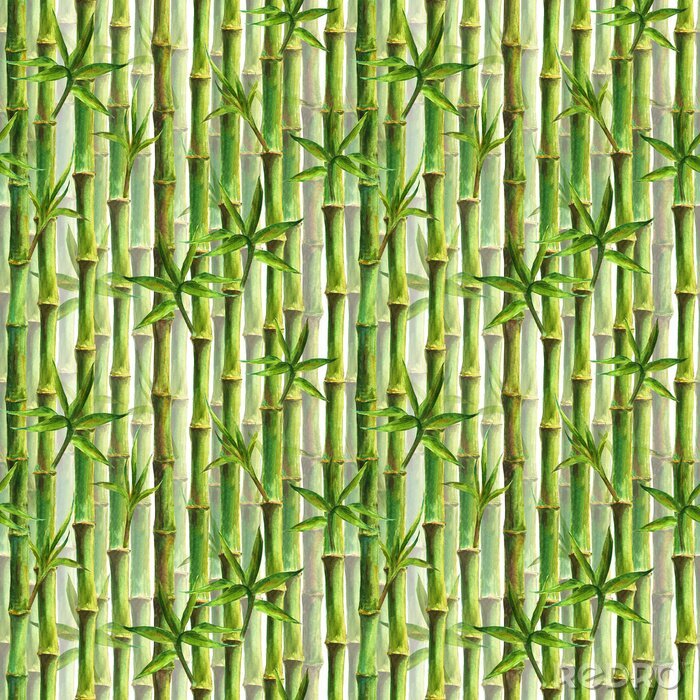 Sticker Dicht beplante bamboe