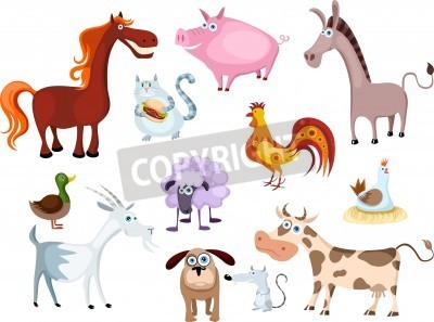 Sticker Dieren van verschillende soorten illustraties voor kinderen
