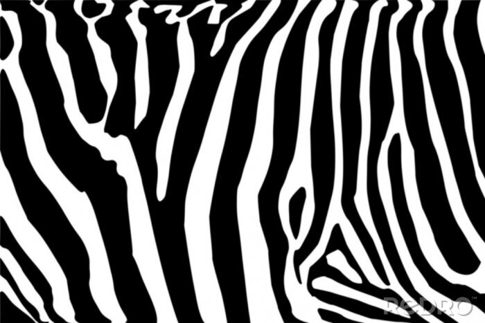Sticker Dierenprint met een zebra