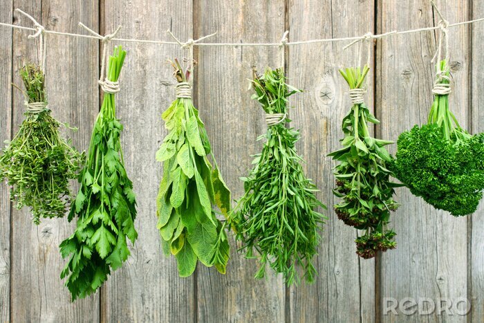 Sticker Diverse kruiden hangen aan een touwtje te drogen.