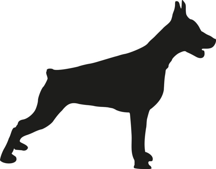 Sticker Doberman staand
