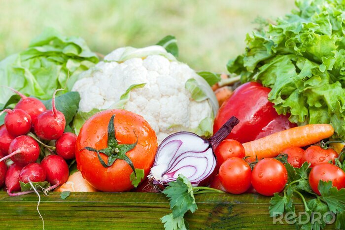 Sticker Doos met groenten