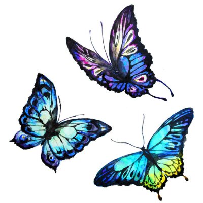 Sticker Drie blauwe vlinders