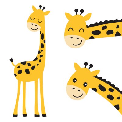 Drie lachende giraffen met zwarte vlekken