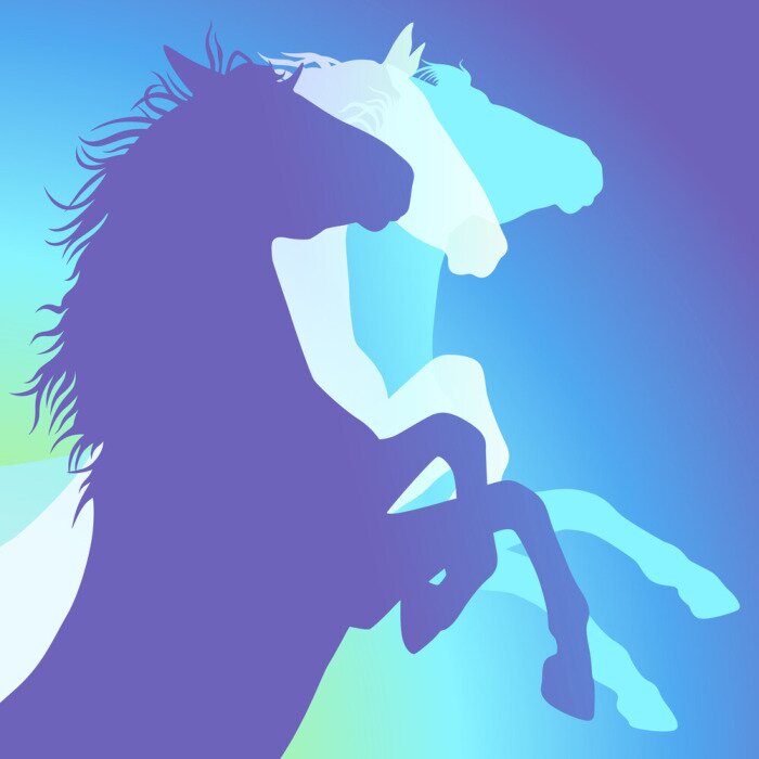 Sticker drie paarden