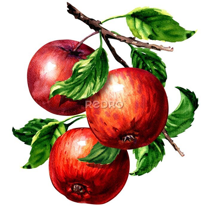 Sticker Drie rode appels