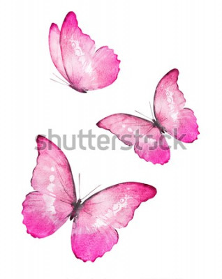Sticker Drie roze vlinders pastel illustratie