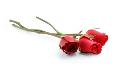 Sticker Drie rozen zonder bladeren