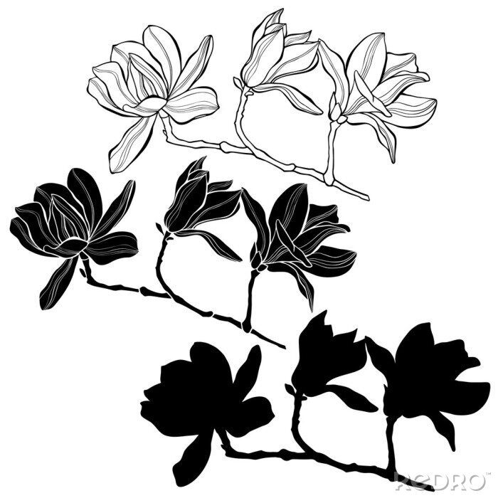 Sticker Drie verschillende magnoliatakjes