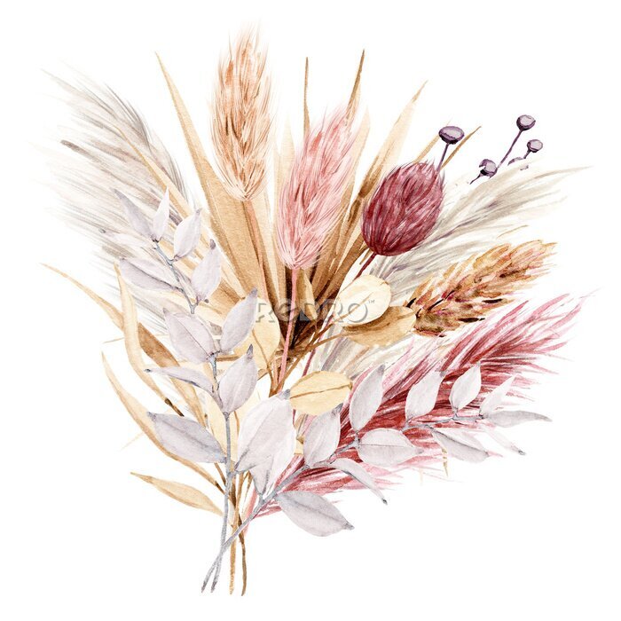 Sticker Dried flowers watercolor drawing. Pampas grass, tropical palm leaves, wildflowers.	