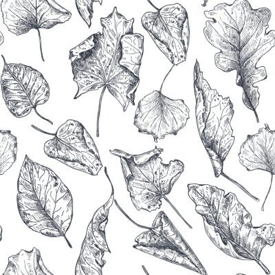 Sticker Droge herfstbladeren