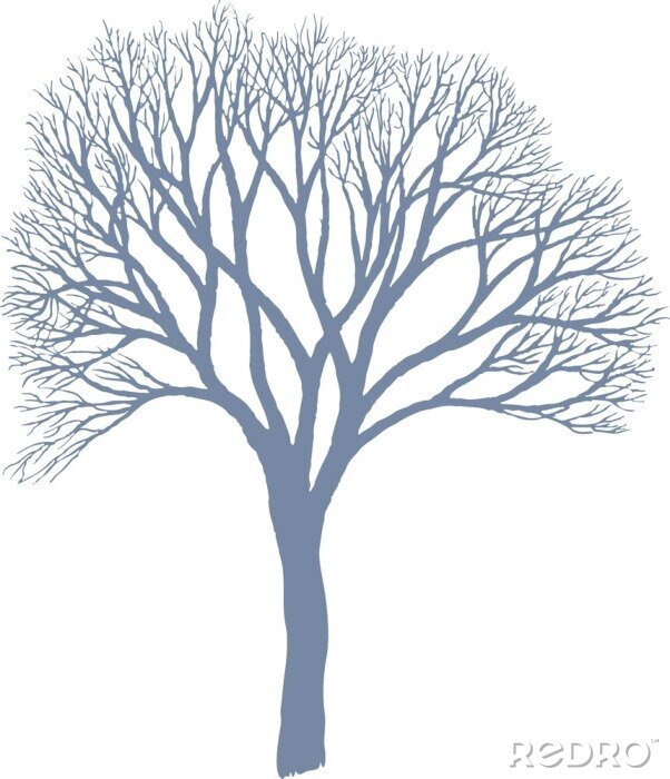 Sticker Drzewo - Morwa