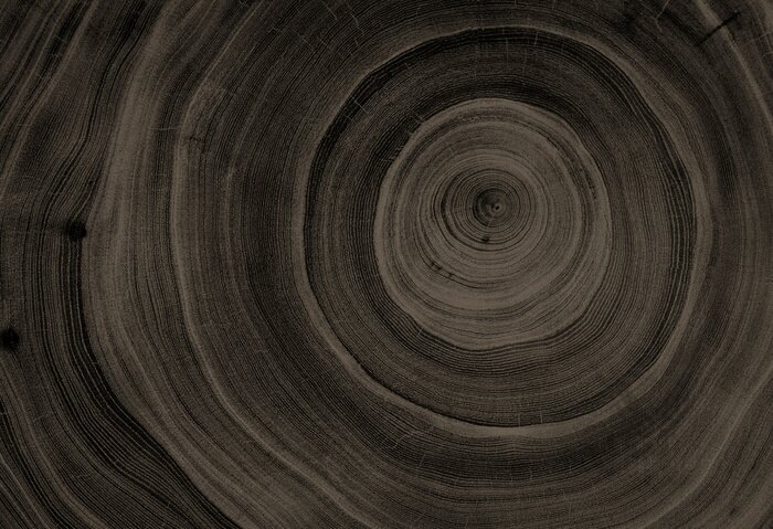 Sticker Dwarsdoorsnede van donker hout