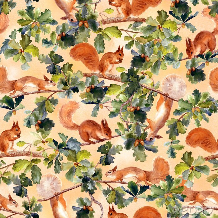 Sticker Eekhoorns en eik