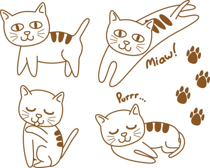 Sticker Een babykat met drie strepen op zijn rug