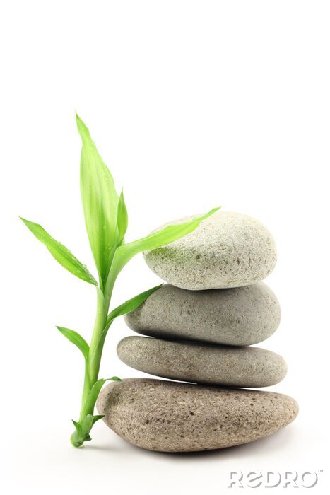 Sticker Een bamboetak leunend tegen een stapel stenen