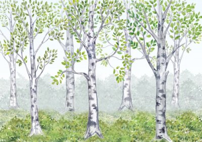 Een berkenbos in een sprookjesachtige illustratie