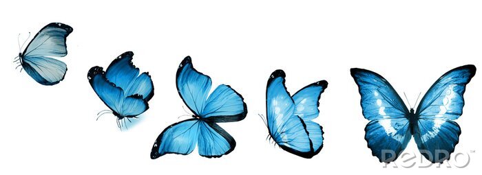 Sticker Een blauwe vlinder gevangen in verschillende posities