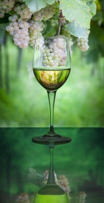 Een glas witte wijn op een achtergrond van fruit
