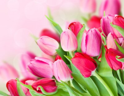 Sticker Een groot boeket roze tulpen