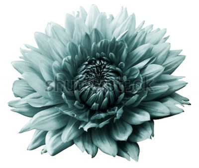 Sticker Een grote bloem op een witte achtergrond