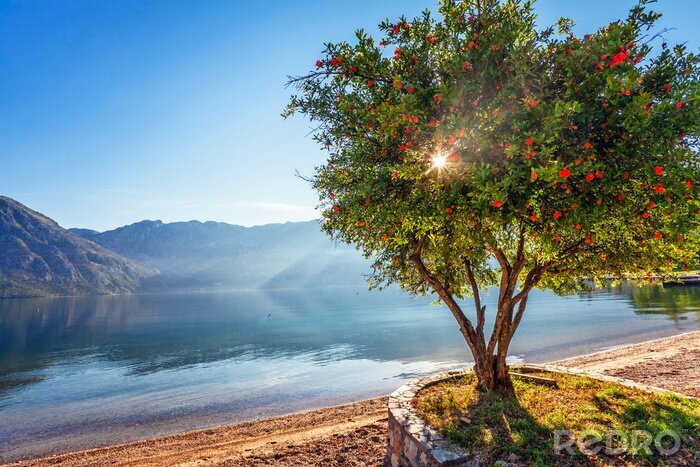 Sticker Een grote boom tegen de achtergrond van de bergen