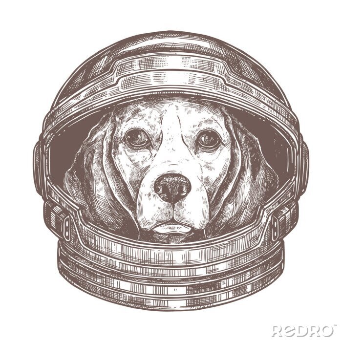 Sticker Een hond in een astronautenpak
