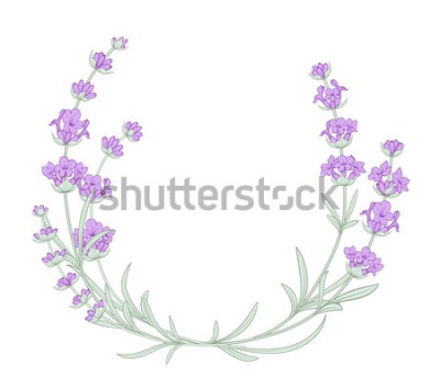 Sticker Een minimalistische lavendelcompositie